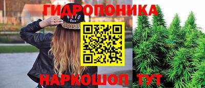 шишки Ставрополь