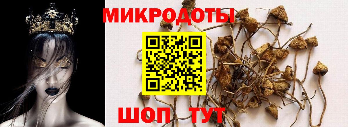 Псилоцибиновые грибы MAGIC MUSHROOMS  купить   Киреевск  Вход с VPN 
